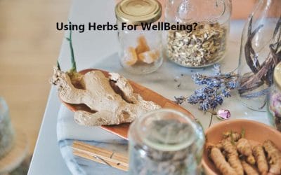 Podcast Why Use Herbs for Your Wellbeing?