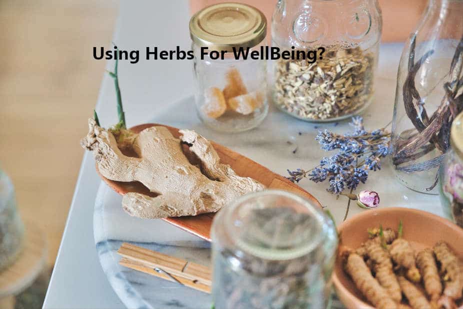 Why Use Herbs for Your Wellbeing