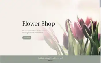 divi theme and builder -florist